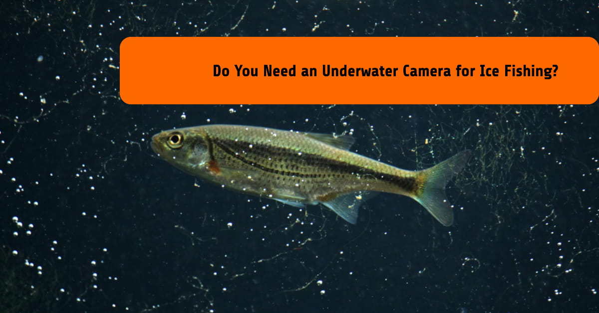 Do You Need an Underwater Camera for Ice Fishing?