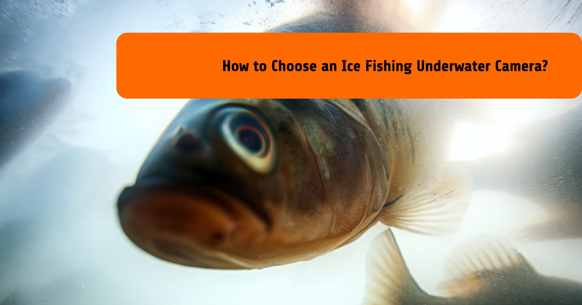 How to Choose an Ice Fishing Underwater Camera?