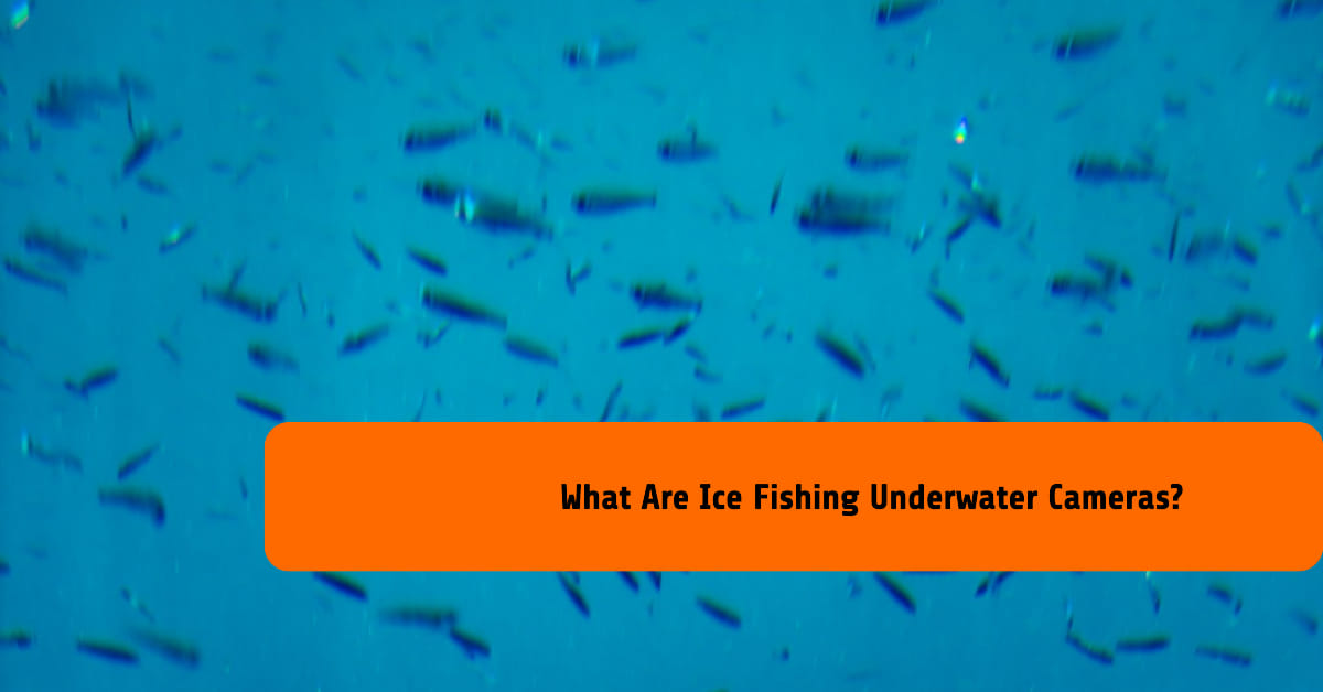 What Are Ice Fishing Underwater Cameras?
